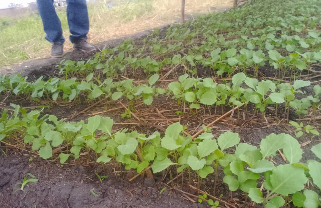 Réunion d'agriculteurs