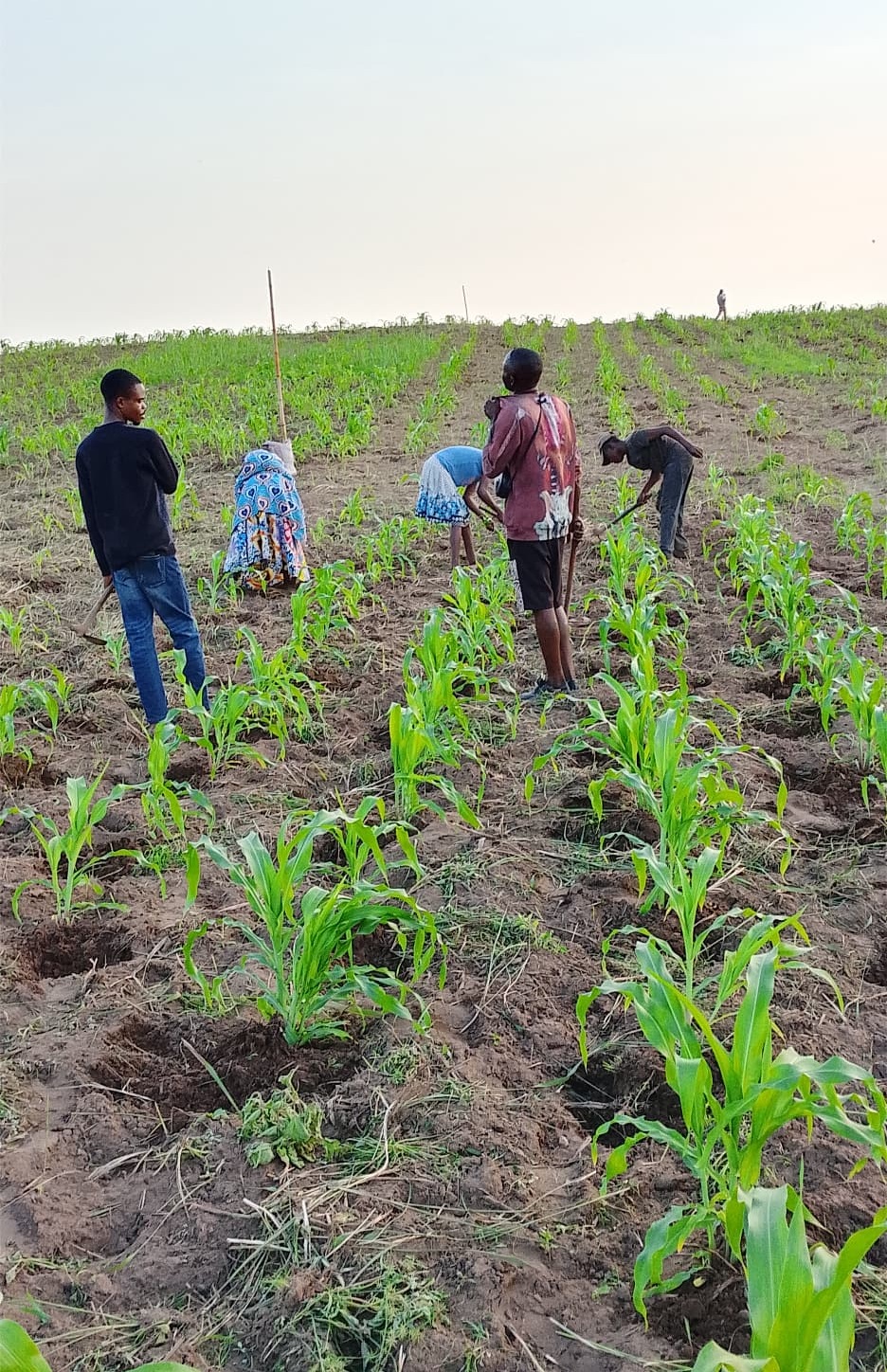 UOPA - Union Agricole