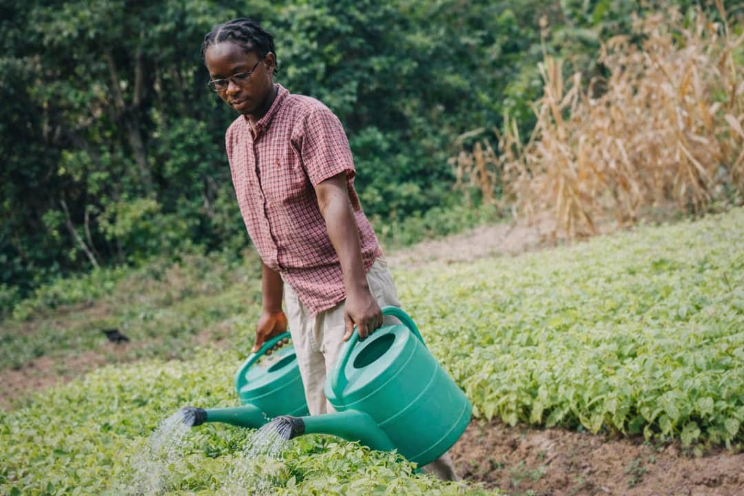 Réunion d'agriculteurs