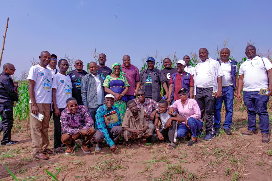 CORIDEC - terrain agricole